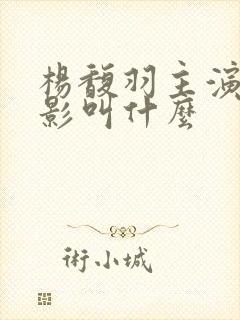 杨馥羽主演的电影叫什么