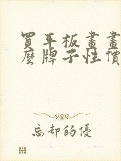 买平板画画买什么牌子性价比最高封面