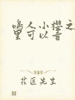 鸣人小樱之夜哪里可以看