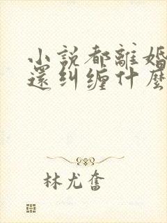 小说都离婚了你还纠缠什么在线阅读