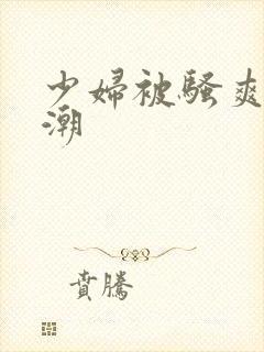 少妇被骚爽到高潮