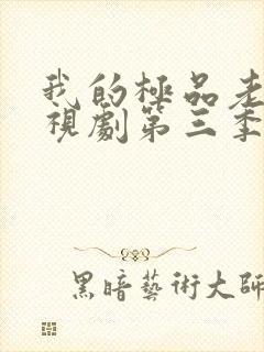 我的极品老婆电视剧第三季全集