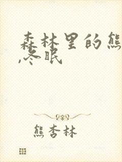 森林里的熊先生,冬眠封面