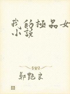 我的极品女老师小说