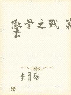 傲骨之战 第3季