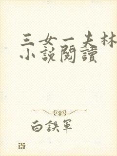 三女一夫林宏伟小说阅读