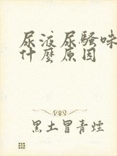 尿液尿骚味大是什么原因封面