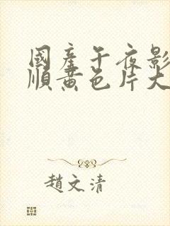 国产午夜影院老顺黄色片大全