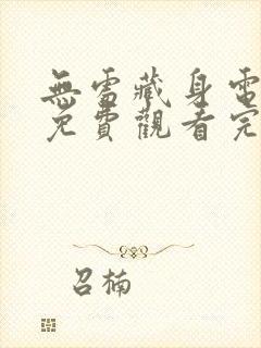 无处藏身电视剧免费观看完整版封面