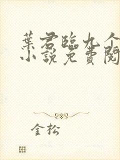 叶君临九个师父小说免费阅读全文