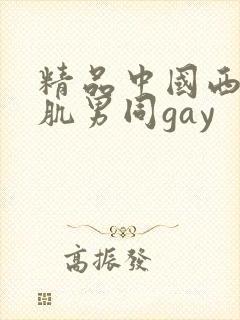 精品中国西装腹肌男同gay