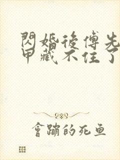 闪婚后傅先生马甲藏不住了 网剧封面