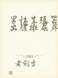 男性生殖器尿道出脓撒尿疼