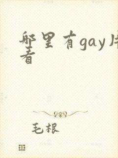 哪里有gay片看