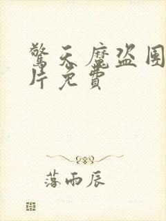 惊天魔盗团2正片免费