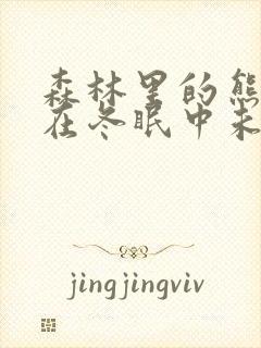 森林里的熊先生在冬眠中未增减版动漫第二季