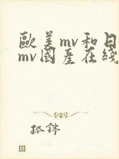 欧美mv和日韩mv国产在线观看