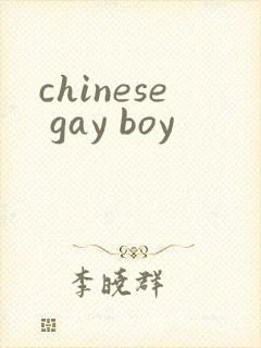 chinese gay boy封面