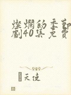 灿烂的季节电视剧40集免费观看