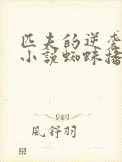 匹夫的逆袭有声小说蜘蛛播音