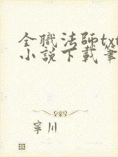 全职法师txt小说下载笔趣阁