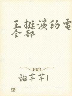 王挺演的电视剧全部