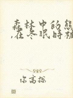 森林中的熊先生,在冬眠时被疼爱了