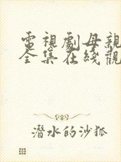 电视剧母亲母亲全集在线观看完整版在线