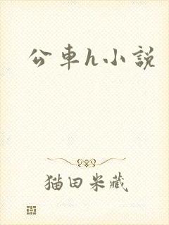 公车h小说封面