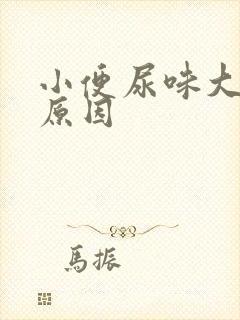 小便尿味大什么原因