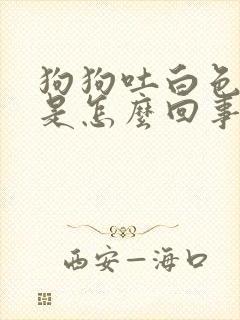 狗狗吐白色泡沫是怎么回事封面