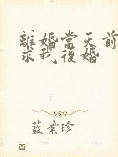 离婚当天前夫跪求我复婚封面