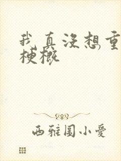 我真没想重生啊梗概