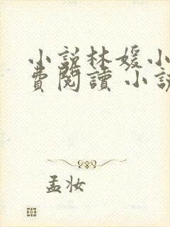小说林媛小正免费阅读 小说封面