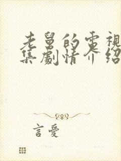 老舅的电视剧分集剧情介绍