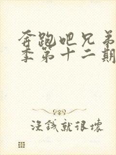 奔跑吧兄弟第五季第十二期画中人