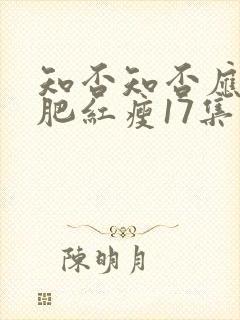 知否知否应是绿肥红瘦17集封面