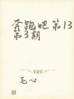 奔跑吧第13季第3期