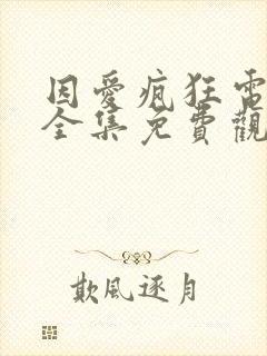 因爱疯狂电视剧全集免费观看封面