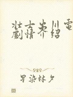 壮士出川电视剧剧情介绍封面