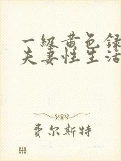 一级黄色录像片夫妻性生活片