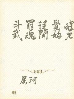 斗罗从觉醒朱雀武魂开始免费阅读