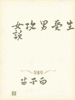 女攻男受生子小说