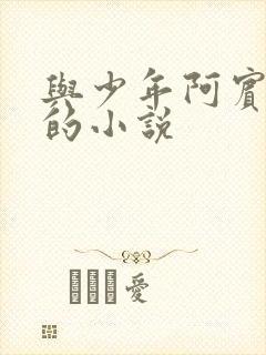 与少年阿宾一样的小说封面