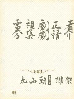 电视剧正者无敌分集剧情介绍封面