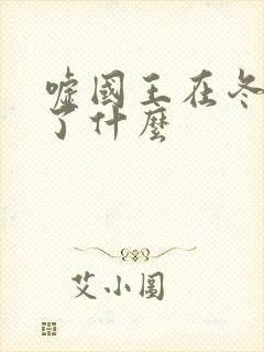 嘘国王在冬眠讲了什么