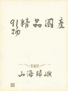 91精品国产尤物