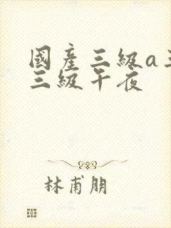 国产三级a三级三级午夜