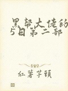 黑帮大佬的365日第二部封面