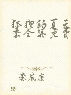 狐狸的夏天第三季全集免费封面